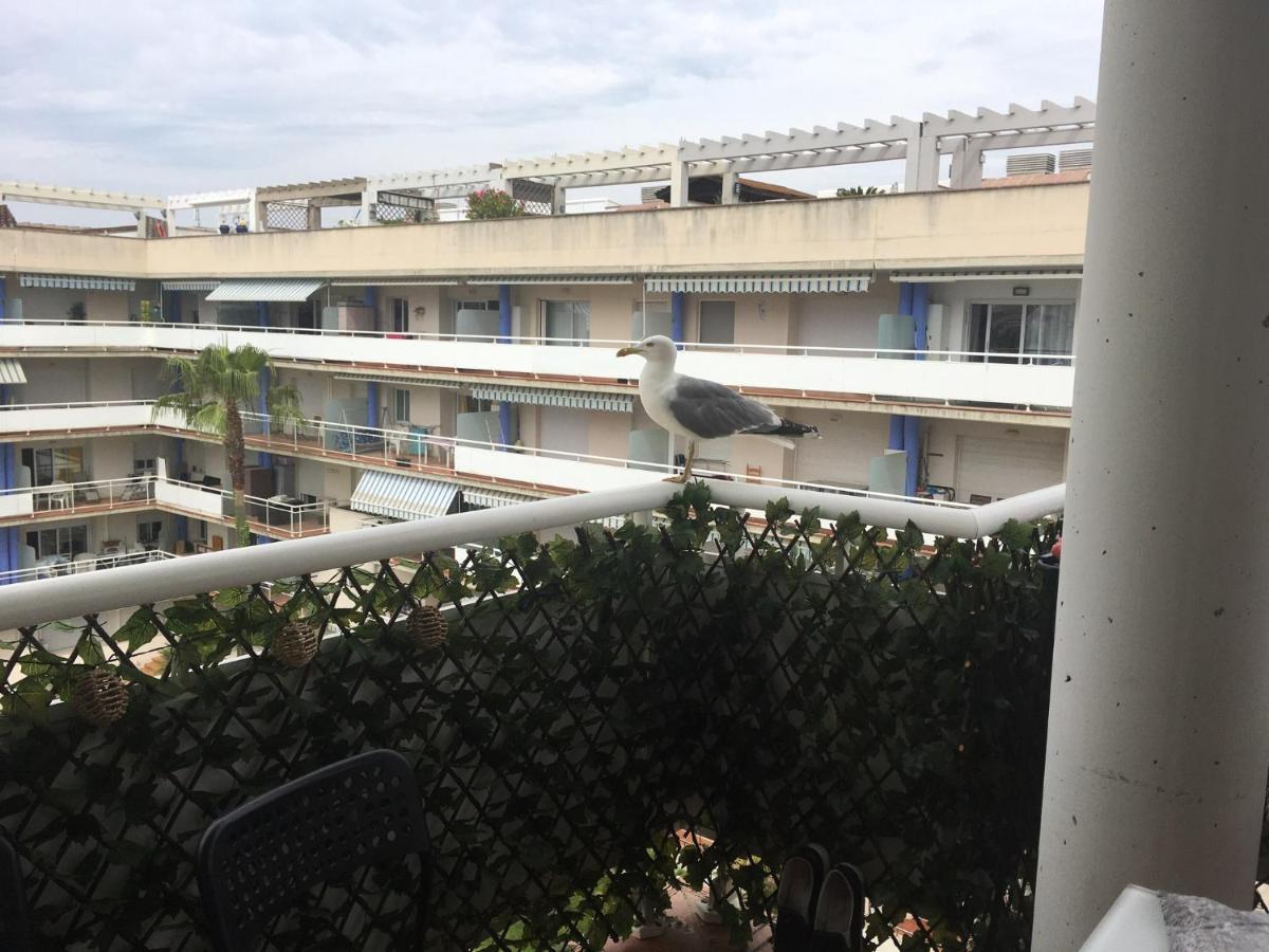 Superbe Appartement Avec Solarium Et Piscine Communautaire Roses Exterior foto